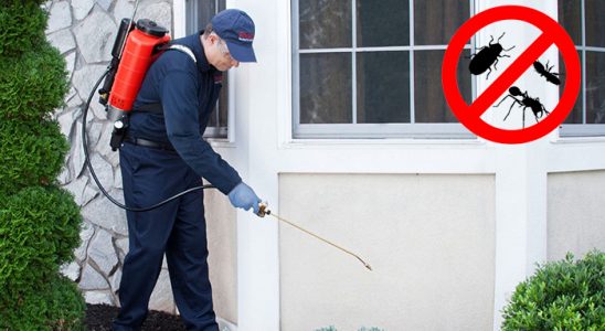 Şavşat Hamam Böceği İlaçlama böcek ilaçlama ve haşere kontrolü — ilaclama-tr.com